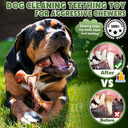 DBF 4 Pack Indestructible Dog Chew Toys for Aggressive Chewers Medium Small Breed - Durable Tough Dog Toy with Bacon Flavor, Heavy Duty Hard Nylon...
