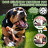 DBF 4 Pack Indestructible Dog Chew Toys for Aggressive Chewers Medium Small Breed - Durable Tough Dog Toy with Bacon Flavor, Heavy Duty Hard Nylon...