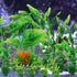 Fish Tank Accessories Aquarium Decorations Green Plants, 20pcs Green Fish Tank Decorations Plant, Fish Tank Decor, Aquarium Decor Plastic Plants, ...