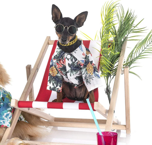 2 Pieces Dog Link Chain Gold Necklace Chain for Dogs ABS Plastic Dog Golden Collar Chain Puppy Costume for Dogs (10 Inch (25+7 cm))...