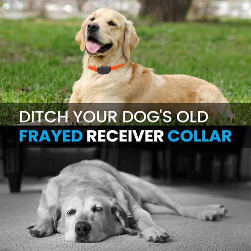 Nylon Replacement Collar - Shock Collar Replacement Collar, Invisible Fence Collar Replacement, Compatible with Pet Safe & Invisible Fence & PetSa...