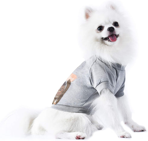 Star Wars for Pets "Come To The Fluffy Side" Chewbacca Dog Tee | Dog Shirt for Large Dogs | Size X-Large | Soft, Cute, and Comfortable Dog Clothin...