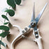 Plant Pruning Shears Garden Trimming Scissors Precision Hand Pruner Herb Snips Flower Clippers Bonsai Trimmers Straight Sharp Blade Tapered Tip Er...