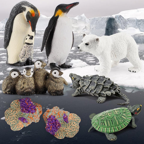 Sea Animal Toys Playset 8Pcs Arctic Animal Figurines Polar Bear Penguin Turtle Figures Model Cake Toppers Early Learning Gifts for Kids...