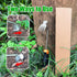 Weeding Artifact Uprooting Weeding Tool, Multifunctional Weeder, Hand Weeder Tool, 4 Teeth Stand Up Weed Puller Tool with Handle for Garden Yard F...