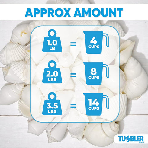 Tumbler Home Mix of White Seashells - Set Includes 1 Pound White Shells up to 3 inches - Home Decor, Vase Filler, Wedding Centerpiece, Christmas, ...