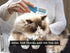 Foldable Grooming Comb for Dogs, Cats, and Horses: Demat and Detangle Comb, Remove Loose Fur or Loose Hair, Smooths Mats and Tangles, Great for On...