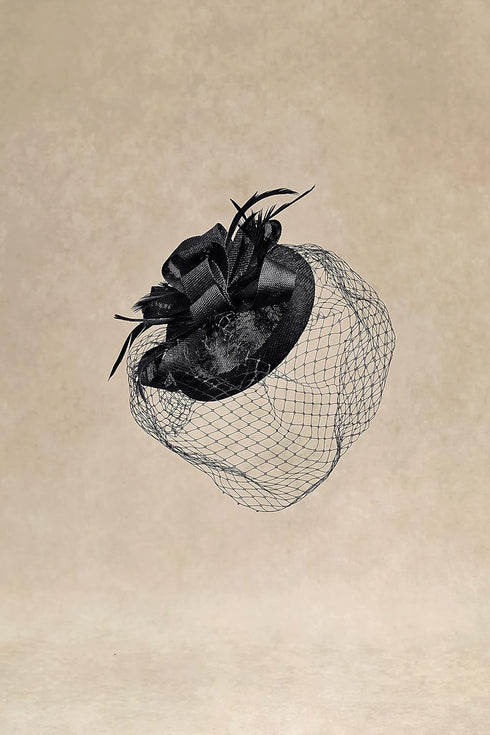 BABEYOND Fascinators Hat Veil Feather Hair Clip Tea Party Kentucky Pillbox Derby Bridal for Wedding...