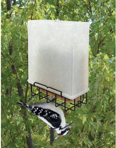 Songbird Essentials Suet Saver Upside Down Suet Feeder, Rigid Plastic Case with Suet Cage Bottom, Holds One Bird Seed Suet Cake...