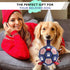 Dog Soccer Ball, 6'' World Cup Outdoor Interactive Dog Ball Toy, Dog Birthday Gift Toy for Tug of War,Puppy Toy, Dog Water Toy for Small&Medium Do...