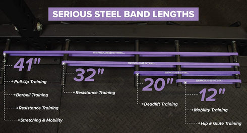 Serious Steel Fitness 32" Resistance Training Bands (Portable Exercise Band System Training Bands- Great for Individuals Under 5'10")...