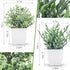 Der Rose 2 Pack Small Fake Plants Artificial Greenery Eucalyptus Plants in Pots for Bedroom Living Room Decor...