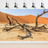 Sun and Desert Terrarium Background Blue Orange Sand Reptile Habitat Background Amazing Dead Tree Aquarium Decor Background Durable Polyester Viny...