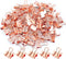 Rose Gold Binder Clips, Mini Paper Clip, Small Paper Clamps 15mm (5/8 inch), 100 Pack Micro Size Office Clips for Home School and Business (Rose G...