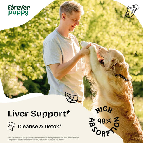 Dandelion Root for Dogs - Liver Supplements for Dogs w/Dandelion Root - Liver Detox & Cleanse Drops for Large, Medium & Small Dogs - Natural Dog F...