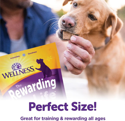 Wellness Rewarding Life Grain-Free Soft Dog Treats, Made in USA with Healthy Ingredients, Ideal for Training (Chicken & Lamb Recipe, 6-Ounce Bag)...
