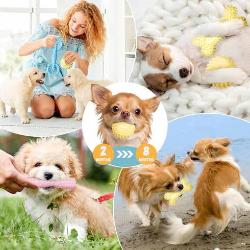 4 Pack Rubber Chew Toys for Puppies 2-8 Months Soft Teething Toys for Puppies Small Dog Teething Balls Bone Rings Puppy Teethers Interactive Dog T...
