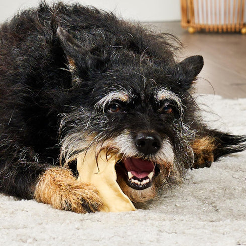 USA Collagen Chips Assorted Dog Chew Treats - Natural Flavor, 14oz/1 Pack...