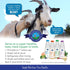 Freeze Dried Raw Goats Milk with Probiotics for Dogs & Cats (Super Greens), Organic USA Veggies & Fruits, High Protein, Digestible Goat Milk Powde...