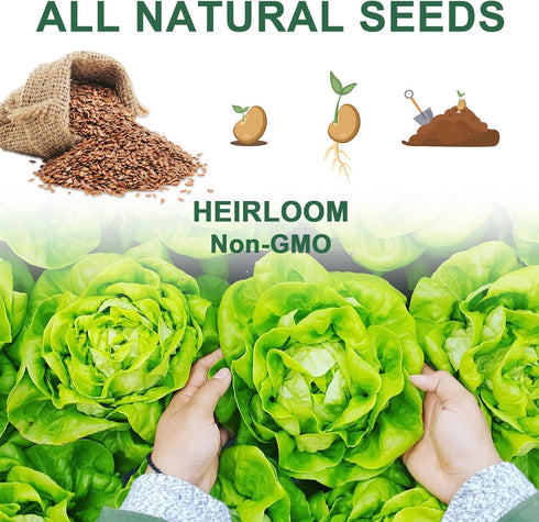 Lettuce Seed Pod Kit for AeroGarden, Included Romaine/Bibb and Boston Lettuce/Red and Green Leaf/Butter Head/Buttercrunch, Plant Food and Accessor...