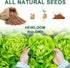 Lettuce Seed Pod Kit for AeroGarden, Included Romaine/Bibb and Boston Lettuce/Red and Green Leaf/Butter Head/Buttercrunch, Plant Food and Accessor...