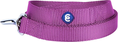 Blueberry Pet Essentials Durable Classic Dog Leash | Basic Nylon Dog Leash | 5ft. x 5/8" Small Dog Leash | Violet Dog Leash | Standard Dog Leashes...