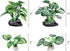 4PCS Aquarium Plants Betta Fish Tank Decorations Small Size Soft Faux Silk Aquarium for Hiding Fish Reptil...