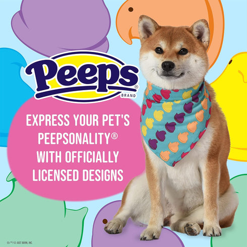 Chick Rainbow Print Dog Bandana, Medium/Large | Large Dog Bandana Officially Licensed Pet Product | Cute, Soft, Machine Washable Dog Apparel & Acc...