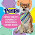 Chick Rainbow Print Dog Bandana, Medium/Large | Large Dog Bandana Officially Licensed Pet Product | Cute, Soft, Machine Washable Dog Apparel & Acc...