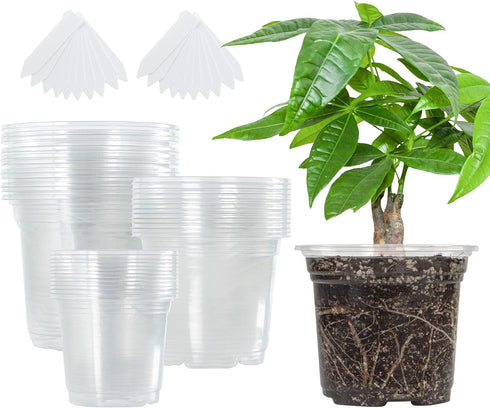 Bonviee 36 Packs 3.5/4/5 Inch Clear Nursery Pots, Transparent Plastic Planter with Drainage Holes, Seed Starting Pot Flower Plant Container -Clear...