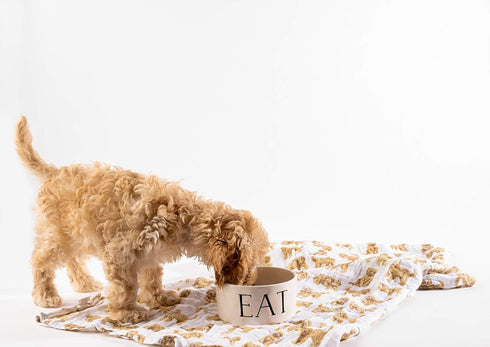 Mud Pie Golden Doodle Print Baby Swaddle Blanket, 47" x 47",...