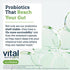 Hyperbiotics Vital Nutrients Bifidobacterium Probiotic | 7 Targeted Strains | Supports Immune and Digestive Health for Older Adults | Shelf-Stable...