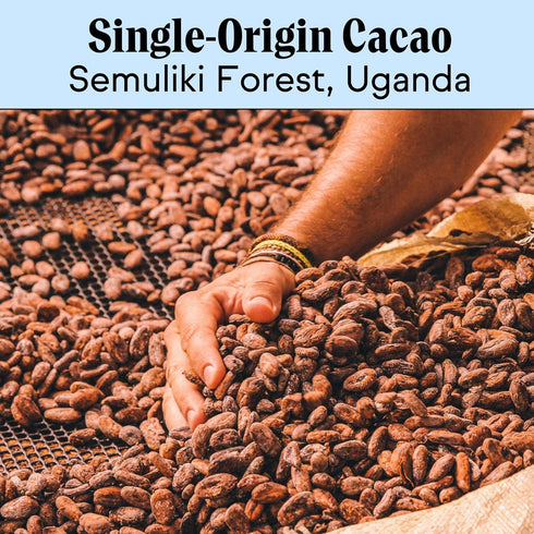 Raaka Chocolate 60% Cacao Coconut Milk Dark Chocolate Bars, 3-Pack, 1.8oz...