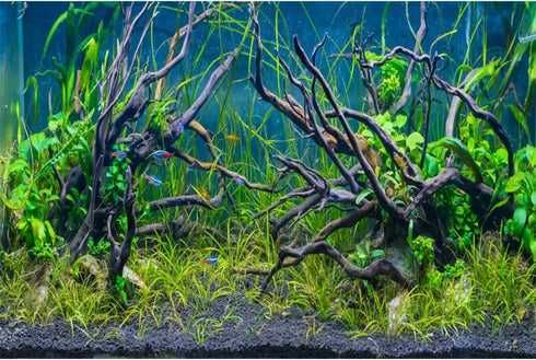 AWERT 72x24 inches Tropical Fish Tank Background River Bed & Lake Aquatic Plant Undersea Tree Branch Aquarium Background Vinyl...