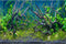 AWERT 72x24 inches Tropical Fish Tank Background River Bed & Lake Aquatic Plant Undersea Tree Branch Aquarium Background Vinyl...