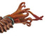 Safari Ltd. Ammonite Figurine - Detailed 5.25" Marine Mollusc Figure - Educational Toy for Boys, Girls, and Kids Ages 3+...