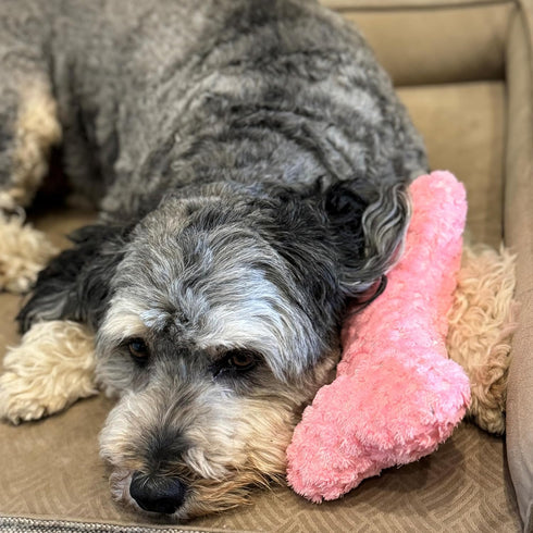 SPOT Soothers Warm Hug Bone - Calming Plush Dog Toy with Lavender Scented Beads, Removable Squeaker, Microwavable Warming Pouch, Separation Anxiet...