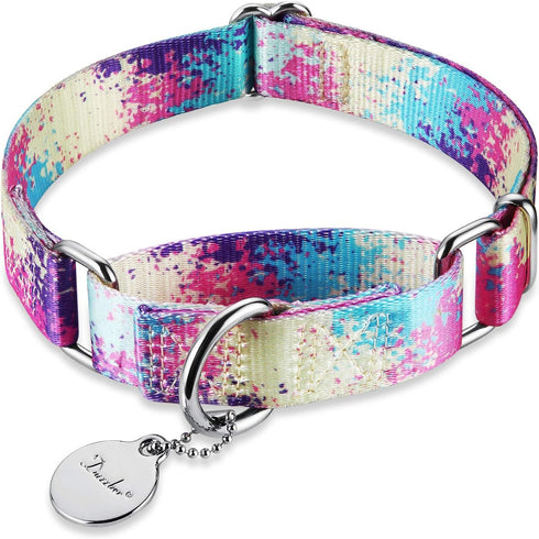 Martingale Dog Collars Colourful Oil painting Pattern series - No Pull Pet Collar Silky Soft for Medium and Large Dogs (X-Small, 5/8 Inch Wide, Pr...
