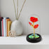Childom Birthday Gifts for Women,Christmas Flowers Gifts for Her,Women,Mom,Wife,Grandma,Light Up Rose in Glass Dome,Colorful Red Flowers for Chris...
