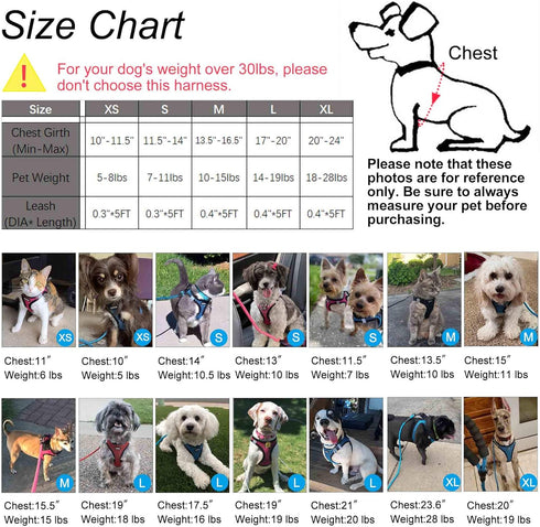Dog Harness Step-in Breathable Puppy Cat Dog Vest Harnesses for Small Medium Dogs Blue...