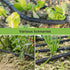 Flat Soaker Hose 15 ft Save 70% Water, Leakproof Design Double Layer Sprinkler Hose Drip Hose for Garden Bed...