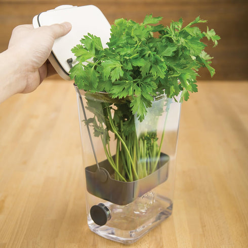 ProKeeper Herb Keeper – 1-Piece, White, with Removable Silicone Drain Plug, BPA-Free Plastic...
