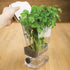 ProKeeper Herb Keeper – 1-Piece, White, with Removable Silicone Drain Plug, BPA-Free Plastic...