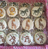 Designer Stencils Jungle Animals Cookie, Beige/Semi-Transparent, Fits 3" circle...