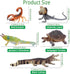 Toymany 12PCS Reptile Animal Figurine Toys Set, Cold Blooded Amphibians Desert Animal Figures with Komodo Dragon Lizard Snake Chameleon Rainforest...