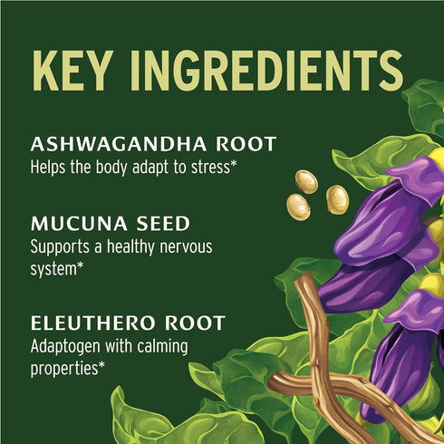 Banyan Botanicals Adrenal Nourish – Organic Adaptogen Supplement - Adrenal Support for Natural Energy with Organic Ashwagandha, Gokshura & Guduchi...