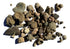 Bulk Educational Genuine Fossil Mix - 1/2 Lb Variety of 75 Genuine Fossils - Exclusively from DINOSAURS ROCK...