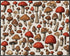 Posterizer 1 pcs- Red and brown mushrooms on a white background-Floral Botanical Art-Kitchen & Bar Art- Gift for Men Women -decor for Bedroom, Off...