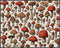 Posterizer 1 pcs- Red and brown mushrooms on a white background-Floral Botanical Art-Kitchen & Bar Art- Gift for Men Women -decor for Bedroom, Off...