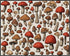 Posterizer 1 pcs- Red and brown mushrooms on a white background-Floral Botanical Art-Kitchen & Bar Art- Gift for Men Women -decor for Bedroom, Off...